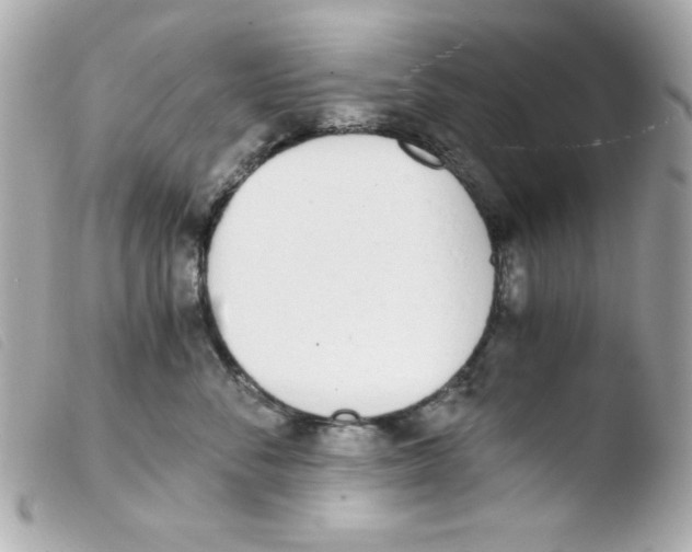 X0000103500716200810101046