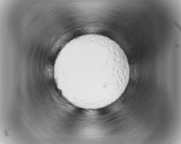 X0000103500718200810101046