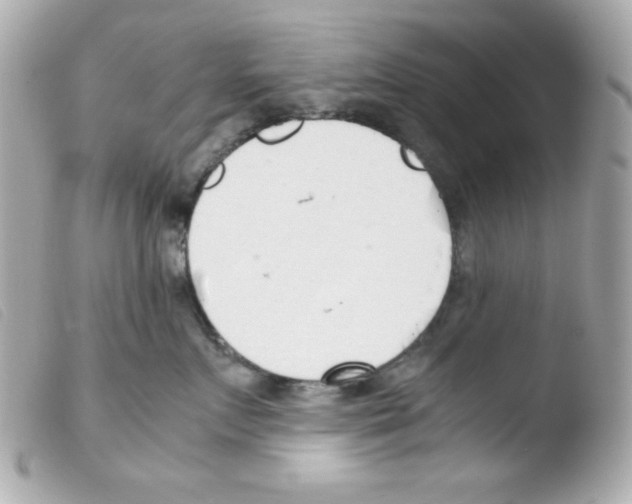 X0000103500719200810101046