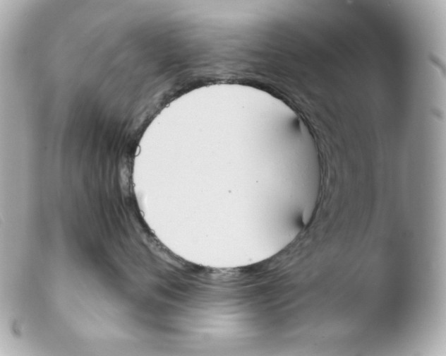 X0000103500720200810101046