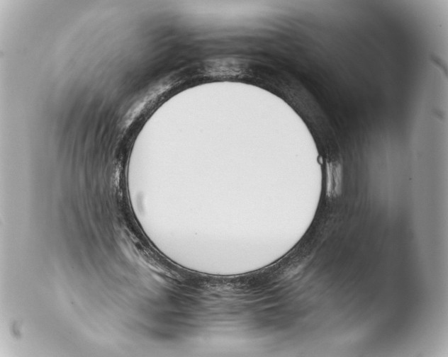 X0000103500723200810101045