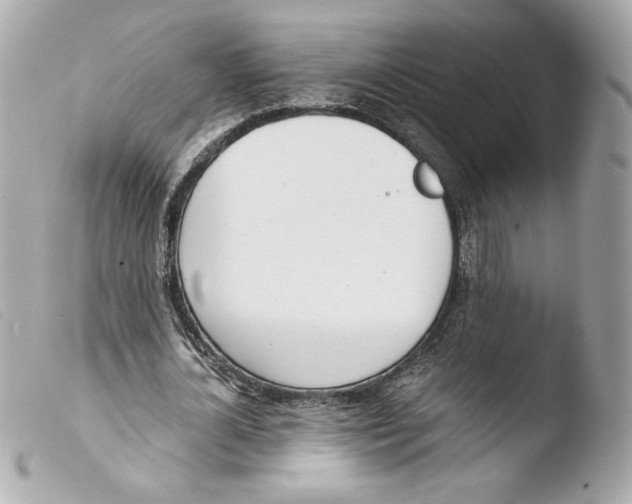 X0000103500724200810101045