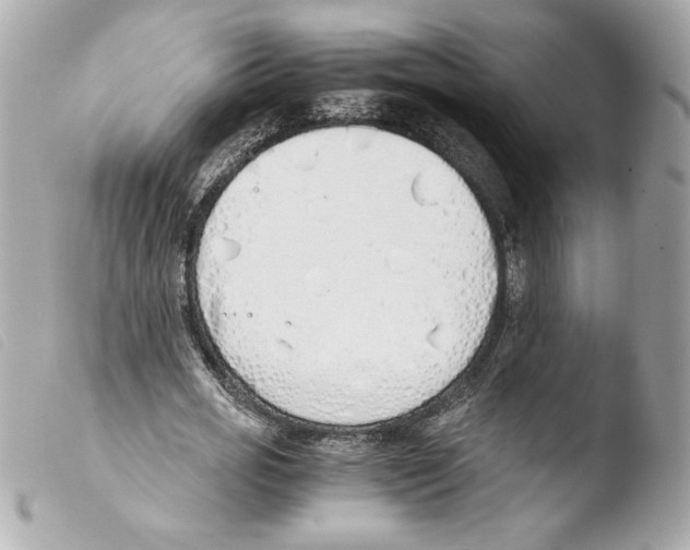 X0000103500725200810101045