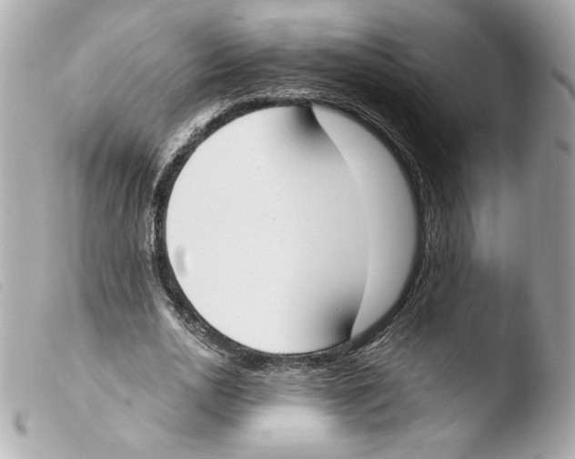 X0000103500726200810101045