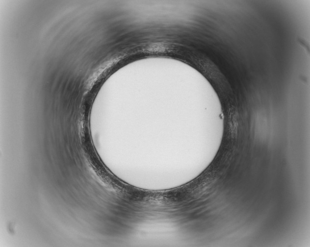 X0000103500728200810101045