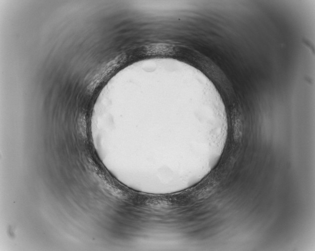 X0000103500729200810101045