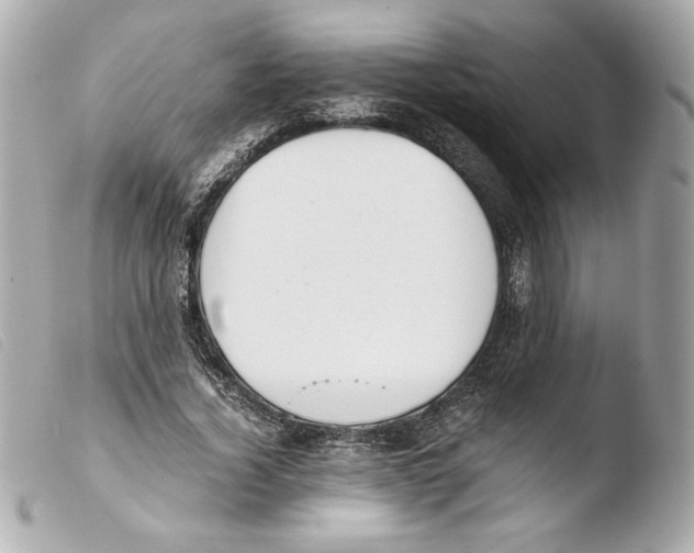 X0000103500732200810101045