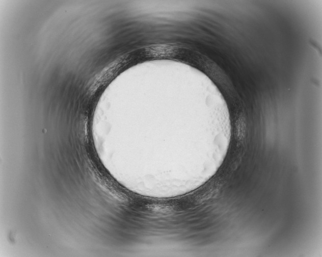 X0000103500733200810101045