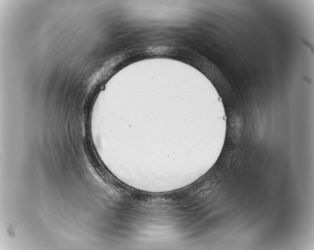 X0000103500734200810101045