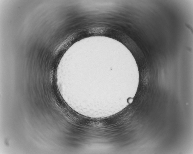 X0000103500735200810101046