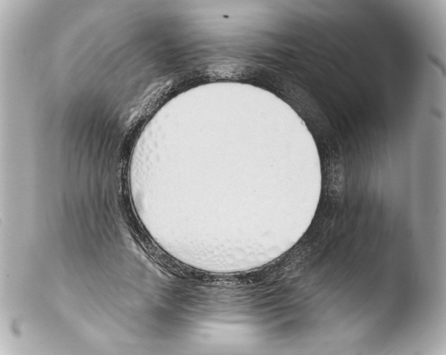 X0000103500738200810101046