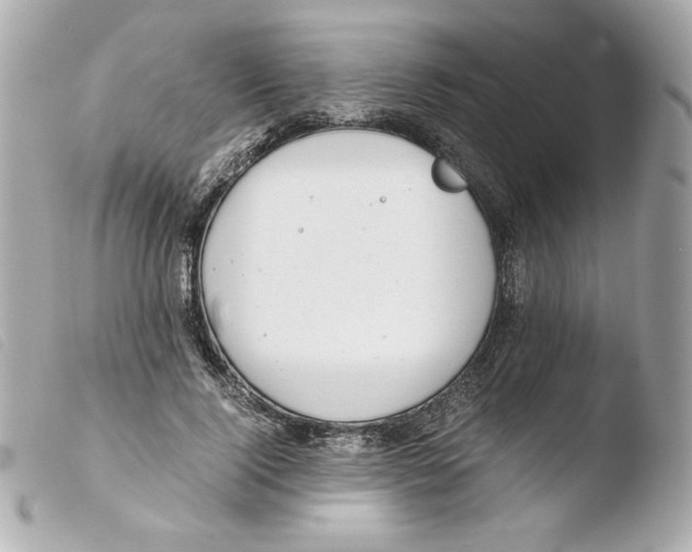 X0000103500740200810101046