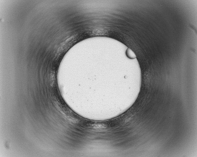 X0000103500741200810101046