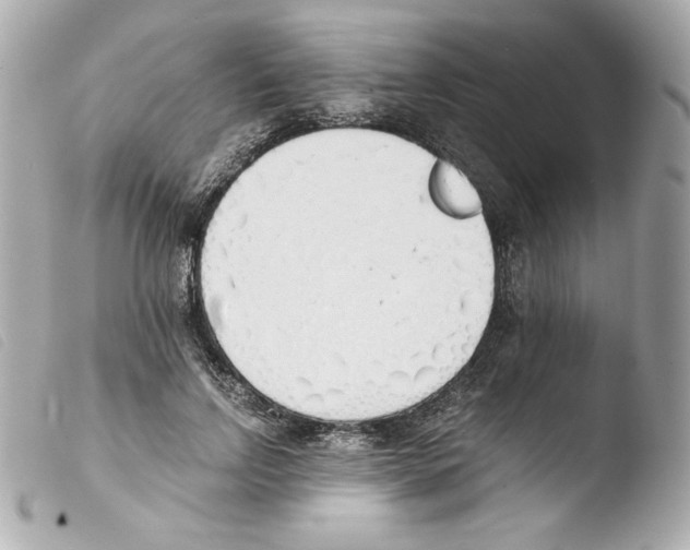 X0000103500742200810101046