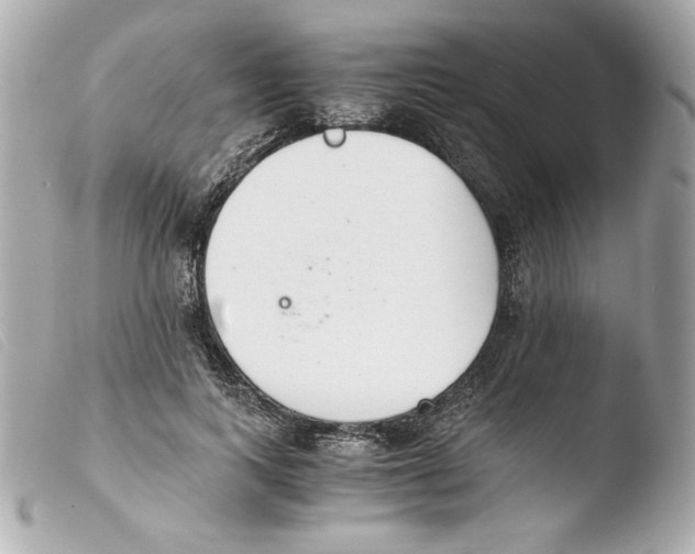 X0000103500743200810101046