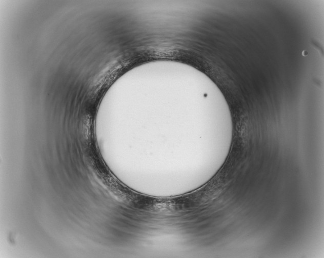 X0000103500744200810101046