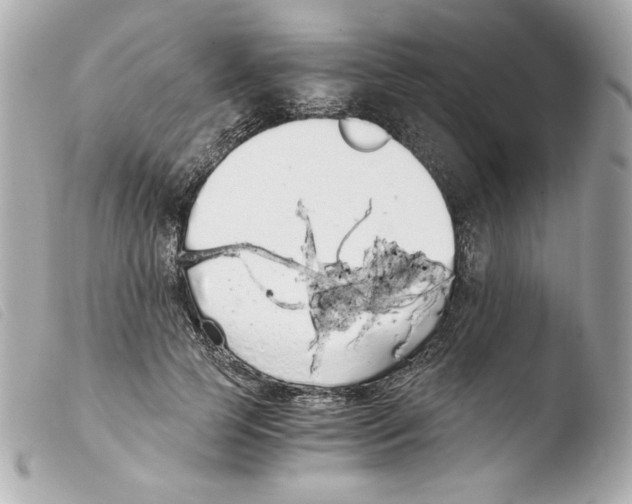 X0000103500745200810101046