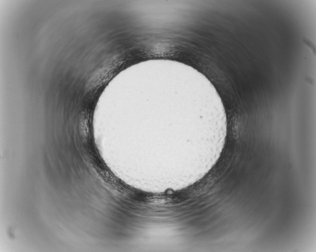 X0000103500746200810101046