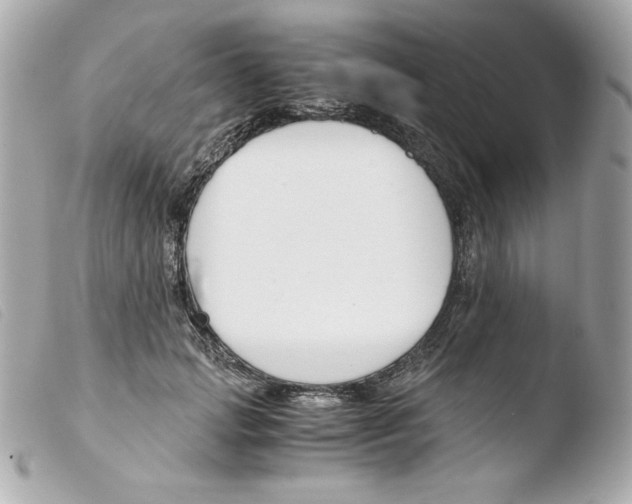 X0000103500749200810101046