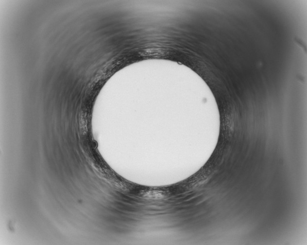 X0000103500751200810101046