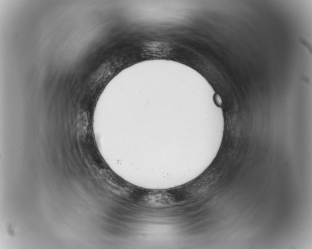 X0000103500752200810101046