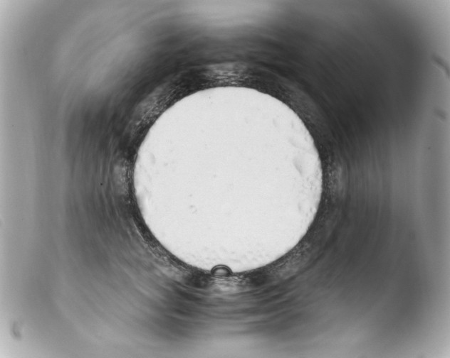 X0000103500757200810101046