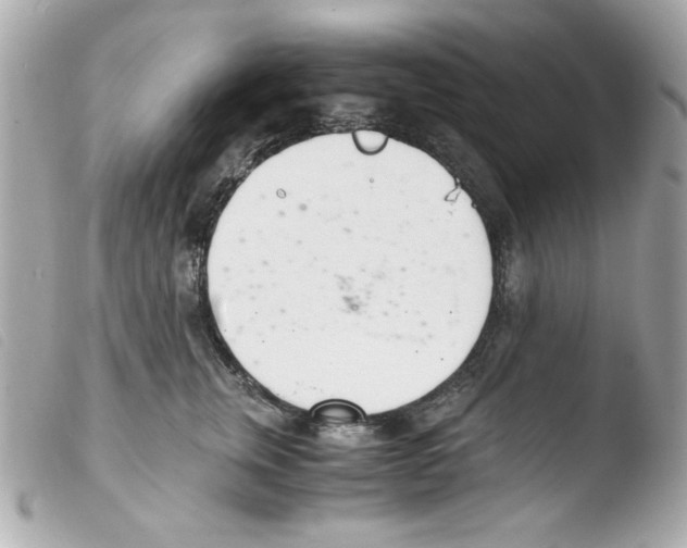 X0000103500759200810101046