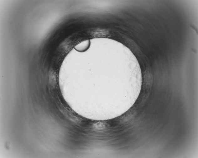 X0000103500761200810101046