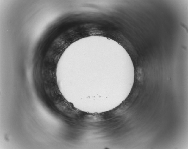 X0000103500763200810101046