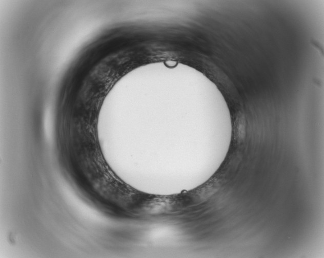 X0000103500764200810101046