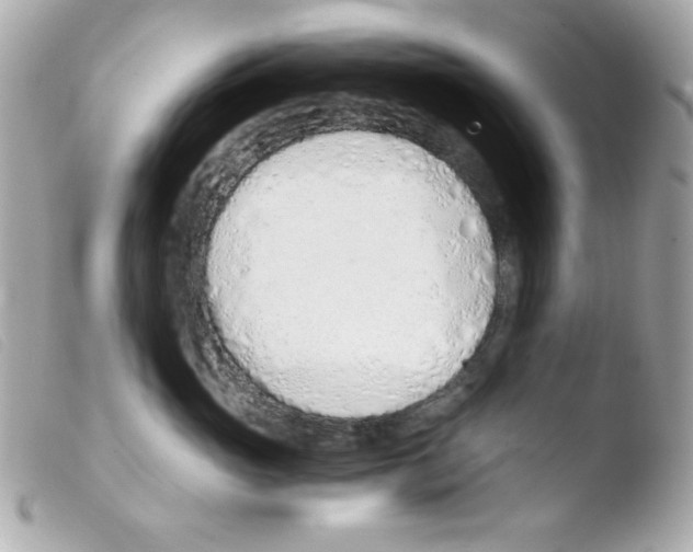 X0000103500765200810101046