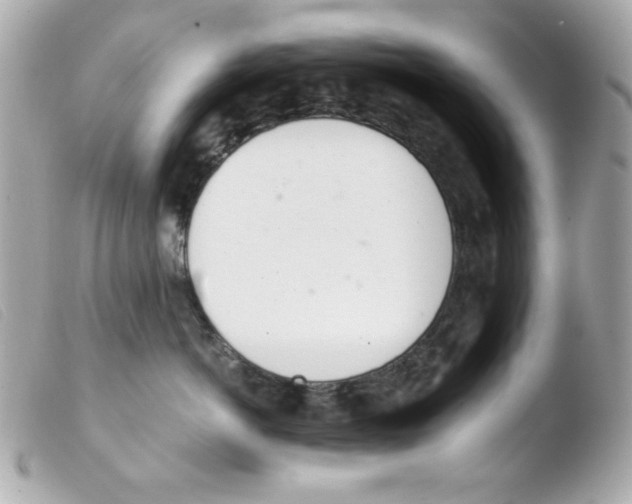 X0000103500766200810101046