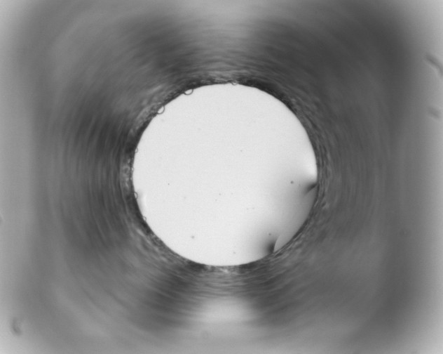 X0000103500768200810101046