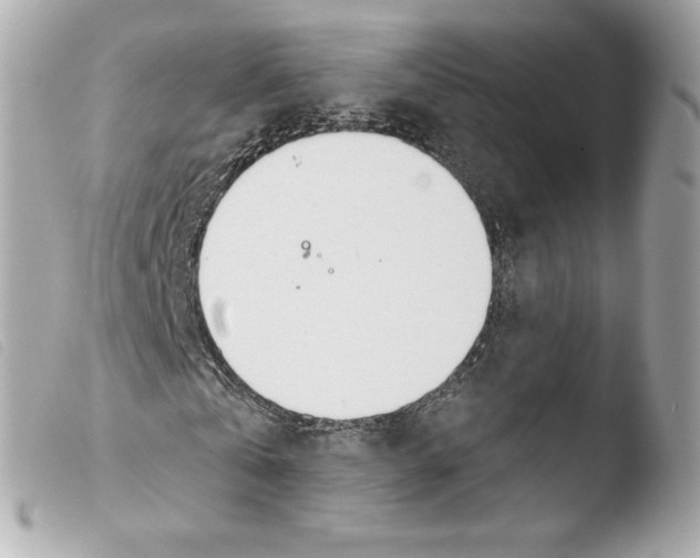 X0000103500769200810101045