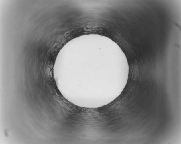 X0000103500770200810101045