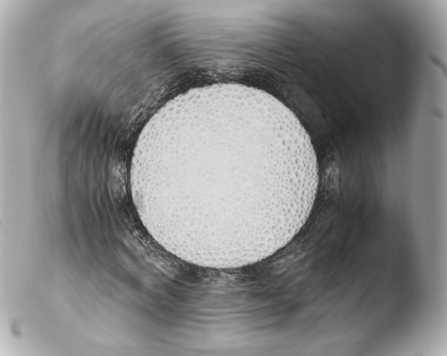 X0000103500772200810101045