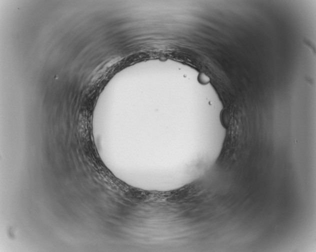 X0000103500773200810101045