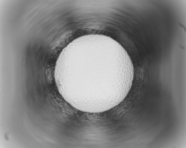 X0000103500774200810101045