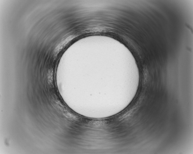 X0000103500778200810101045