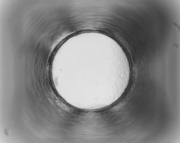 X0000103500779200810101045