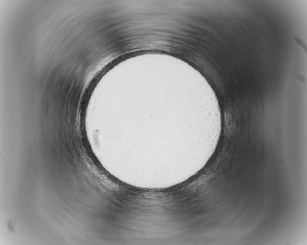 X0000103500780200810101045