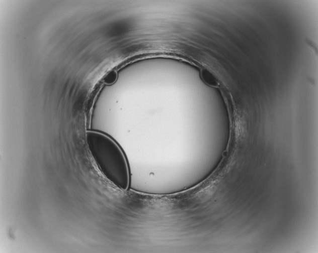 X0000103500781200810101045