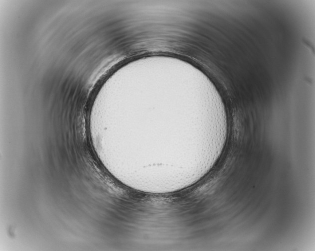 X0000103500782200810101045