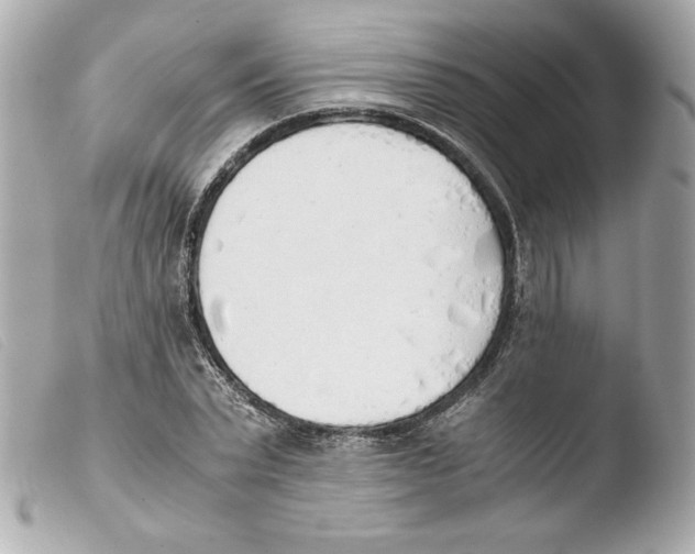 X0000103500783200810101045