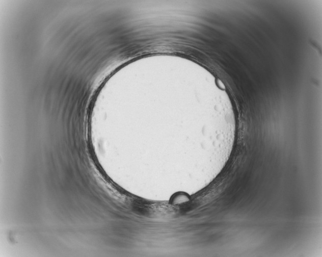 X0000103500795200810101045