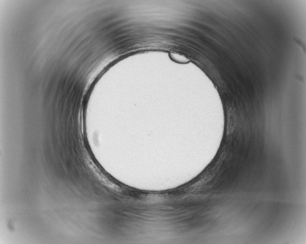 X0000103500796200810101045