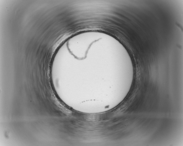 X0000103500797200810101045