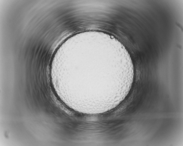 X0000103500798200810101045