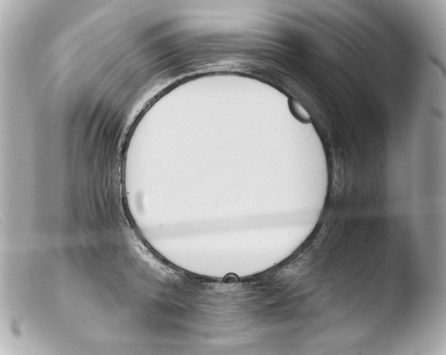 X0000103500800200810101045