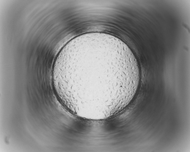 X0000103500802200810101045